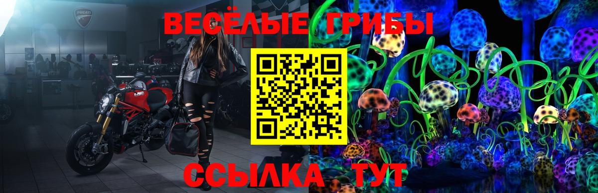Псилоцибиновые грибы Magic Shrooms  Вход с VPN  Кимры 